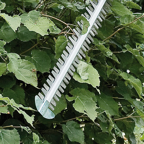 Tosasiepi Stihl HSA 56 - immagine 2