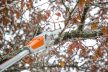 SRAMATORE STIHL HTA 50 SET - immagine 2